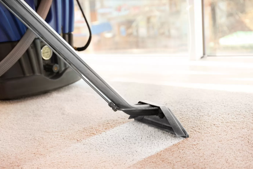 carpet cleaning in Harvey Bay
