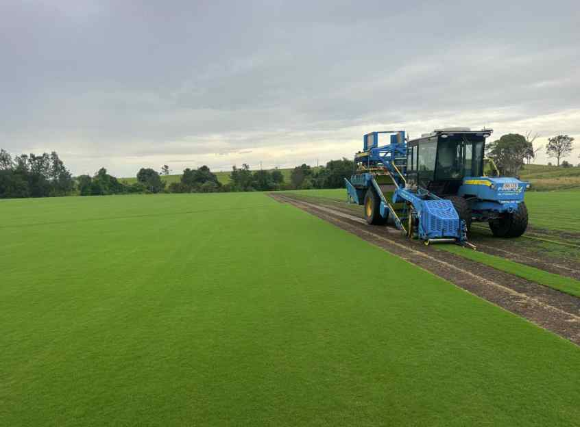 artificial turf on the Central Coast